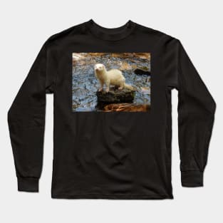 Looking Far Long Sleeve T-Shirt